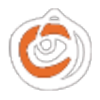 aavi.net-logo